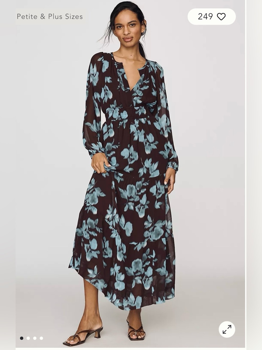 Anthropologie The Somerset Maxi Dress: Long Sleeve Chiffon Ed. in Multi Floral M